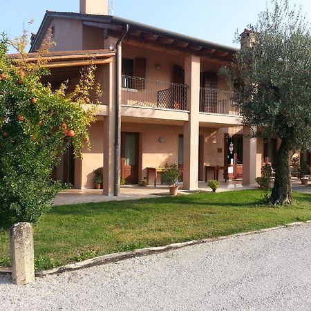 Agriturismo Morgan Montebelluna Exterior photo
