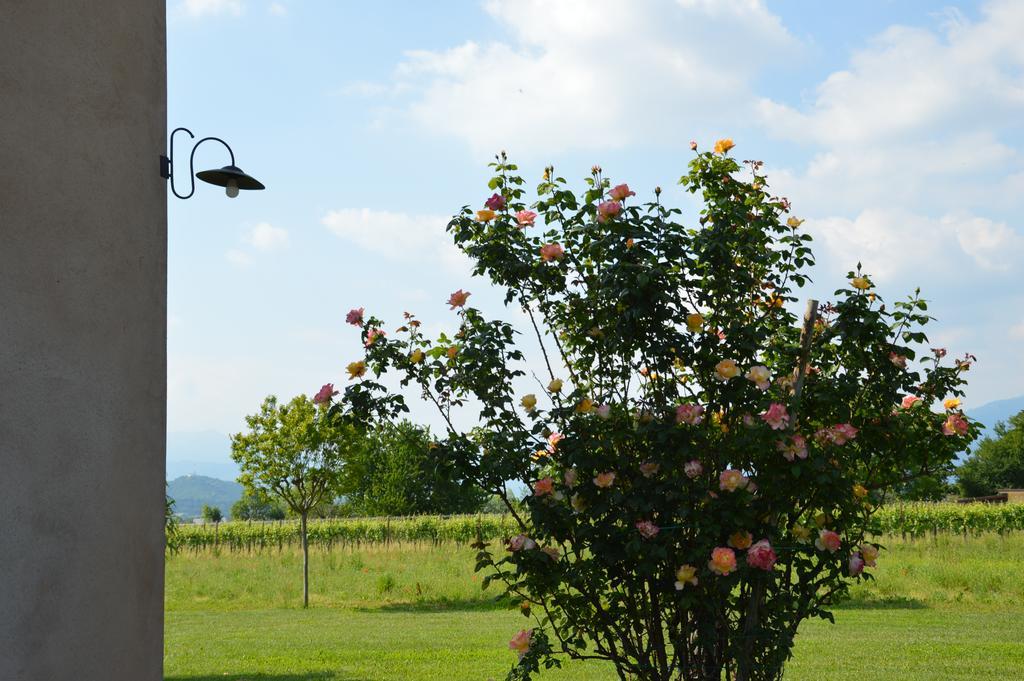 Agriturismo Morgan Montebelluna Exterior photo